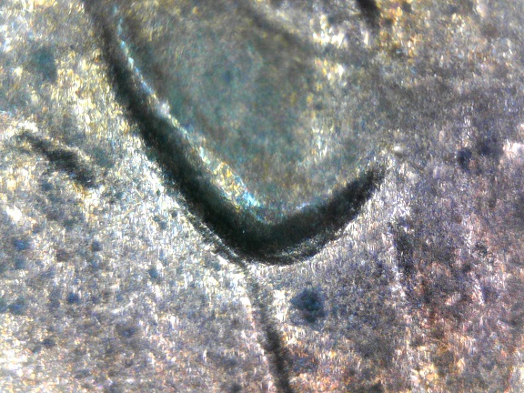 1993-D-Possible-DDO-Earlobe?